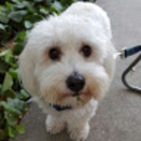 Meet your Posher, Ali - Picture 1 of 1